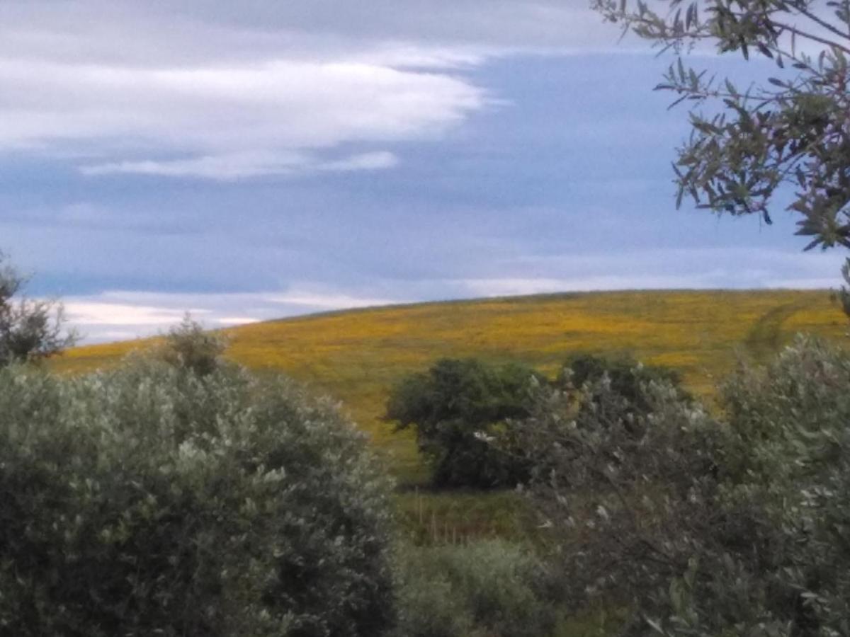 Agriturismo IL CANTINIERE Grosseto Exterior foto